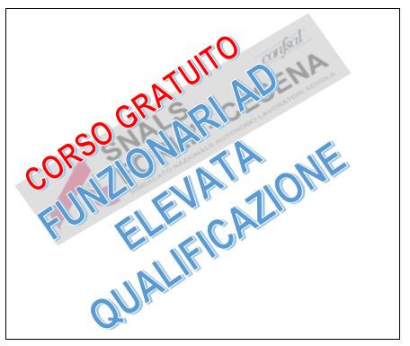 CORSO GRATUITO FUNZIONARIO AD ELEVATA QUALIFICAZIONE