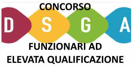 DSGA-CONCORSO ORDINARIO AREA DEI FUNZIONARI E DELL'ELEVATA QUALIFICAZIONE