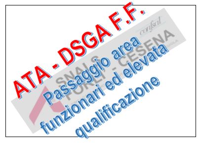 ATA. Passaggio DSGA facenti funzione all'area funzionari ed elevata qualificazione.