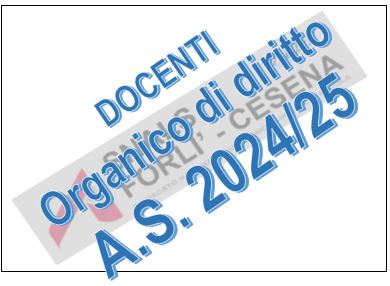 DOCENTI - ORGANICI DI DIRITTO 2024/25